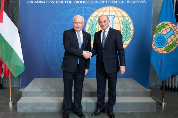 OPCW Director-General, Ambassador Ahmet Üzücmü, meeting the Minister of Foreign Affairs of the State of Palestine, H.E. Dr Riad Al-Maliki, at OPCW Headquarters