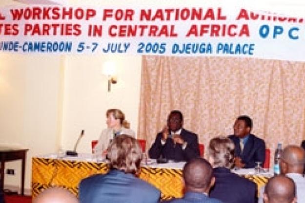 Legal workshop for Central African National Authorities held in cameroon.5-7 July 2005.