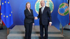 High Representative of the European Union for Foreign Affairs and Security Policy, Ms Federica Mogherini, with the Director-General, Ambassador Ahmet Üzümcü.