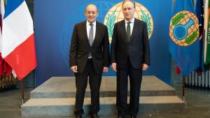 OPCW Director-General, H.E. Mr Fernando Arias, and the Minister of Europe and Foreign Affairs of France, Mr Jean-Yves Le Drian, meeting at the OPCW Headquarters in The Hague
