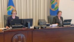 OPCW Confidentiality Commission Elects New Chairperson