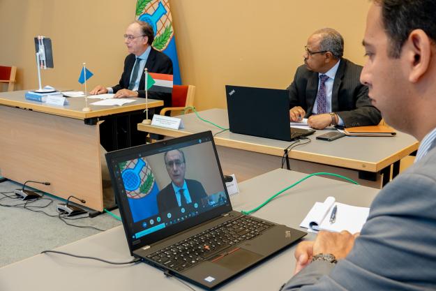 OPCW Director-General, H.E. Mr Fernando Arias and participants at Africa Programme’s Steering Committee Inaugural Meeting Online