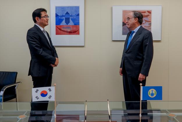 H.E. Mr Yeondoo Jeong, the Permanent Representative of the Republic of Korea to the OPCW and OPCW Director-General, H.E. Mr Fernando Arias