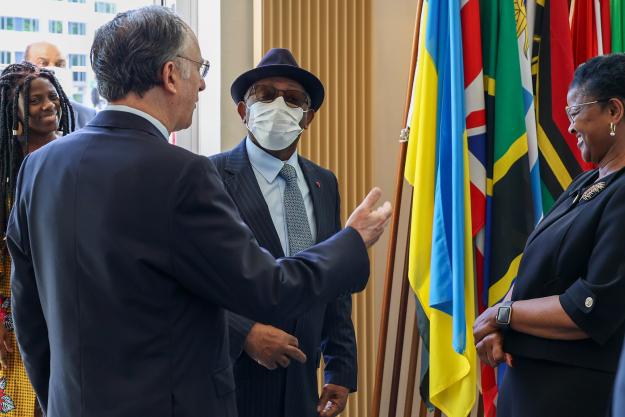 OPCW Director-General meets with Cameroon’s Minister of External Relations