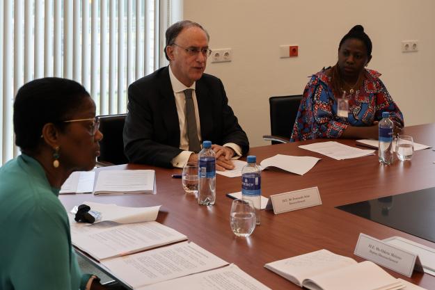 OPCW Africa Programme Steering Committee welcomes progress in Programme implementation