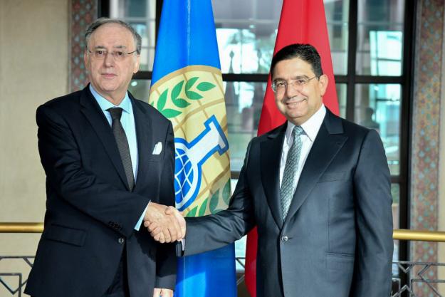 OPCW Director-General meets with the Moroccan Minister of Foreign Affairs, African Cooperation and Moroccoan Expatriats of Morocco