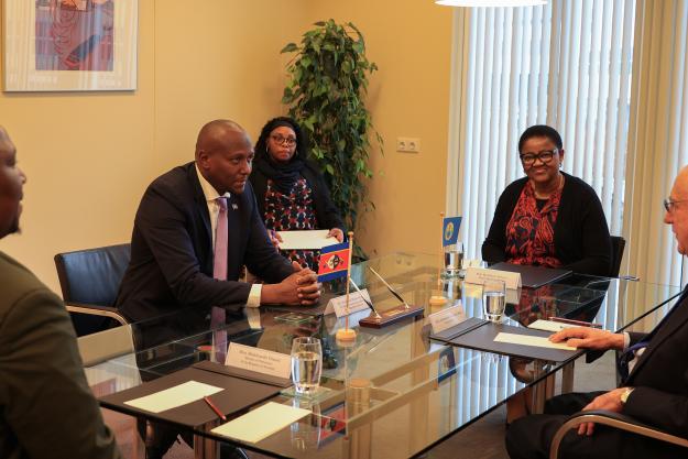 Prime Minister of Eswatini and OPCW Director-General meet at OPCW Headquarters