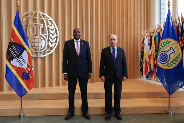 Prime Minister of Eswatini and the OPCW Director-General