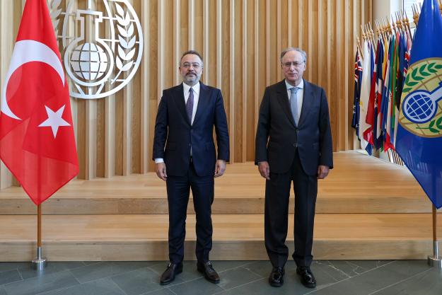 Deputy Minister of Foreign Affairs of Türkiye and the OPCW Director-General