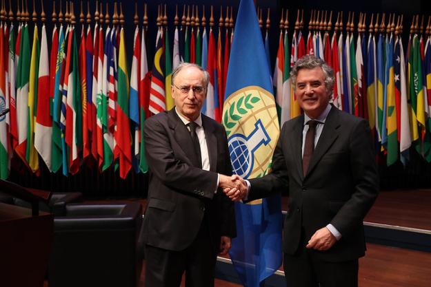 Permanent Representative of the Principality of Andorra to the OPCW, H.E. Mr Vicenç Mate and OPCW Director-General, Ambassador Fernando Arias.