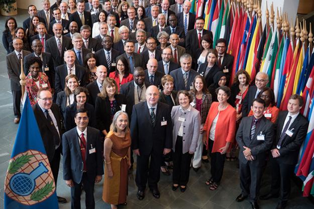 Representatives of Internal Audit Services (RIAS) with members from across the United Nations System organisations, multilateral financial institutions and other associated intergovernmental organisations