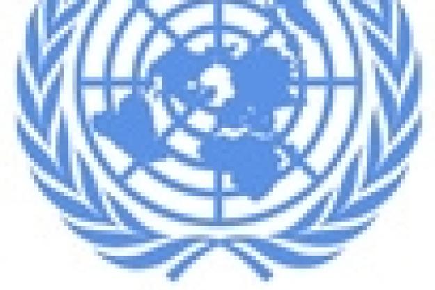 UN Logo and Flag