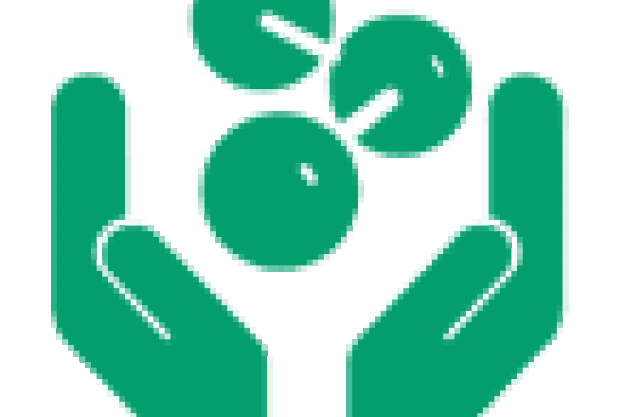 hands
