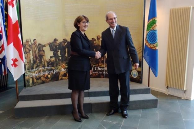 The Minister of Foreign Affairs of Georgia, H.E. Ms Maia Panjikidze, and OPCW Director-General, Ambassador Ahmet Üzümcü.