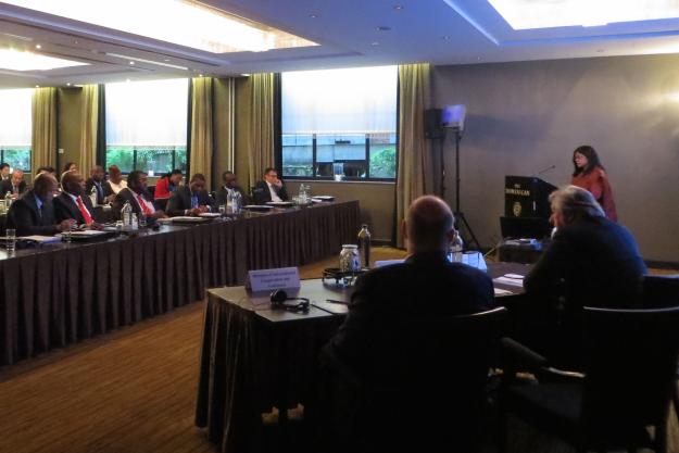 Deputy Director-General Mrs Grace Asirwatham (standing, far right) at the briefing for non-residential Permanent Representatives to the OPCW.