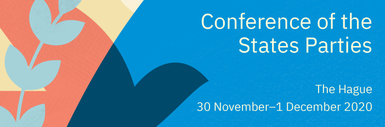 Conference of the States Parties