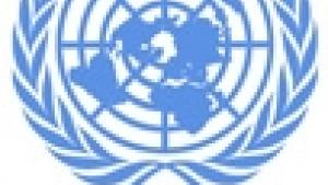 UN Logo and Flag