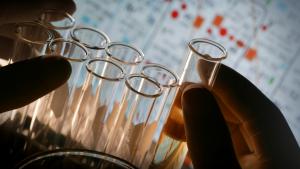 he Scientific Advisory Board (SAB)