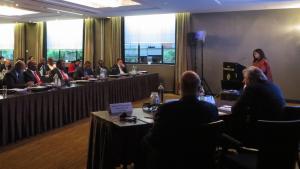 Deputy Director-General Mrs Grace Asirwatham (standing, far right) at the briefing for non-residential Permanent Representatives to the OPCW.