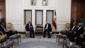 The Director-General of the OPCW during a meeting with Iran’s Minister of Foreign Affairs, H.E. Dr Javad Zarif