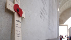 Armistice Commemoration in Ieper, Belgium and Director-General visit to the Belgian destruction facility located in Poelkapelle, Belgium