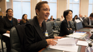 Participants at the Conference on “The Chemical Weapons Convention in 2017: What are the Boundaries to its Future Evolution?”, held at the OPCW Headquarters in The Hague