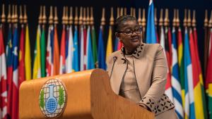 H.E. Ambassador Odette Melono, Permanent Representative of Cameroon to the OPCW, speaking at the Twenty-Second Session of the Conference of the States Parties to the Chemical Weapons Convention (CSP-22)