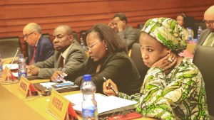 African National Authorities discuss the design of a new phase of the Organisation’s Africa Programme, at 17th Regional Meeting