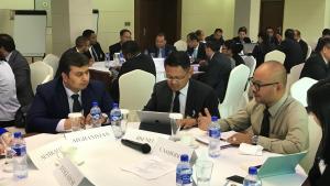 Participants at the 17th Regional Meeting of National Authorities