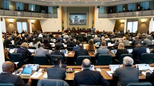 Enhancing the Implementation of the Chemical Weapons Convention: National Authorities Meet to Discuss Capacity Building Support