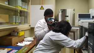 OPCW and Protechnik Laboratories support development of analytical chemistry skills in African Member States 