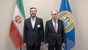 OPCW Director-General meets with the Deputy Minister of Foreign Affairs for Legal and International Affairs of the Islamic Republic of Iran, H.E. Dr. Kazem Gharibabadi