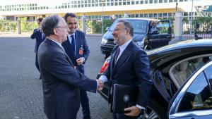 Deputy Minister of Foreign Affairs of Türkiye and the OPCW Director-General