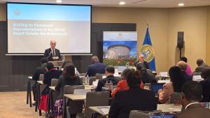 OPCW leadership briefs Permanent Representations based outside The Hague 