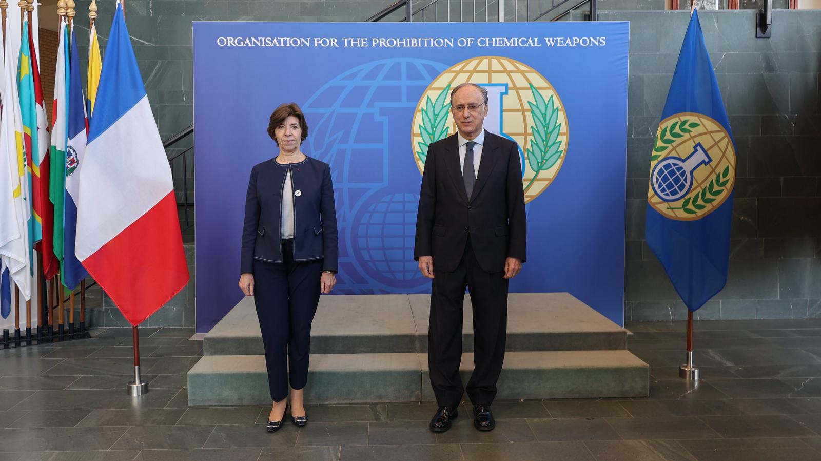 Le ministre français de l’Europe et des Affaires étrangères a rencontré le directeur général de l’OIAC