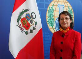 H.E. Ms Marisol Flavia Agüero Colunga