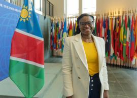 H.E. Dr Mekondjo Kaapanda-Girnus