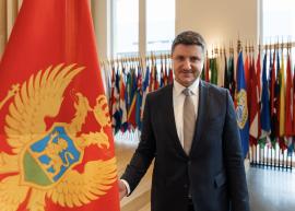 H. E. Mr Milisav Raspopović