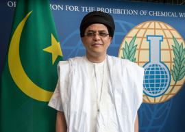 H.E. Mr Abdellahi Bah Nagi Kebd