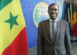 H.E. Mr Momar Gueye