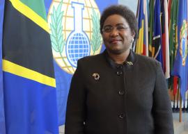 H.E. Mrs Irene Florence Mkwawa-Kasyanju